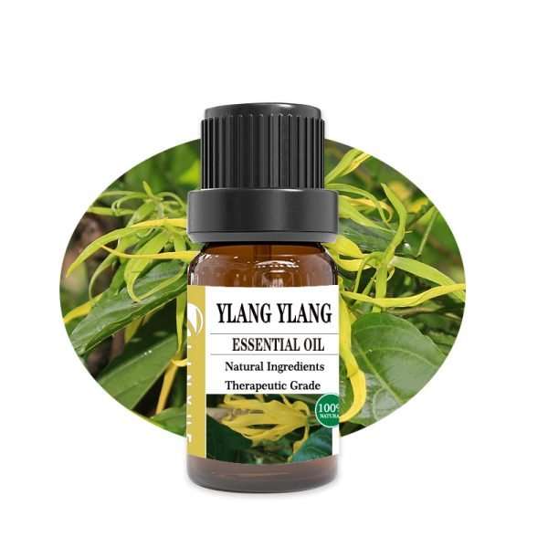 10ml Ylang-ylang Essential Oil