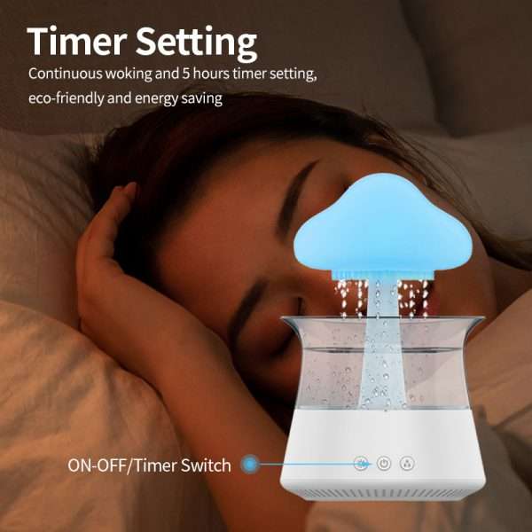 Rain Cloud Humidifier-1 Rain Cloud Humidifier-1