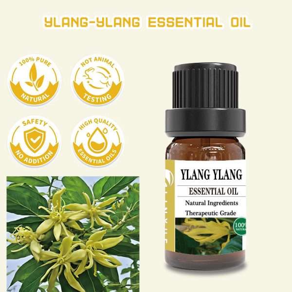 10ml Ylang-ylang Essential Oil