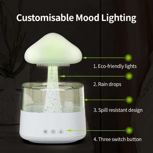 Rain Cloud Humidifier Rain Cloud Humidifier
